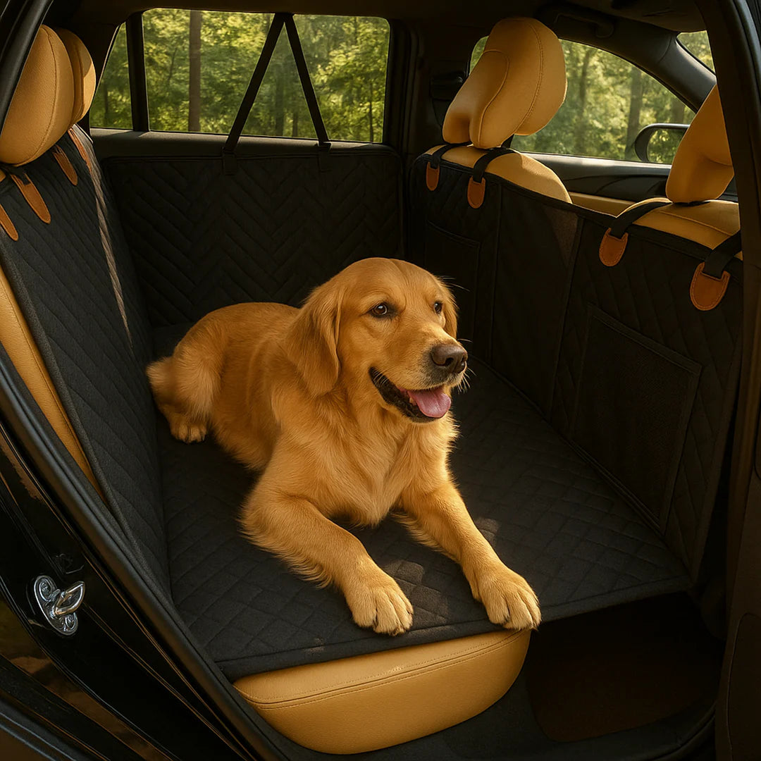 Dog Seat Cover